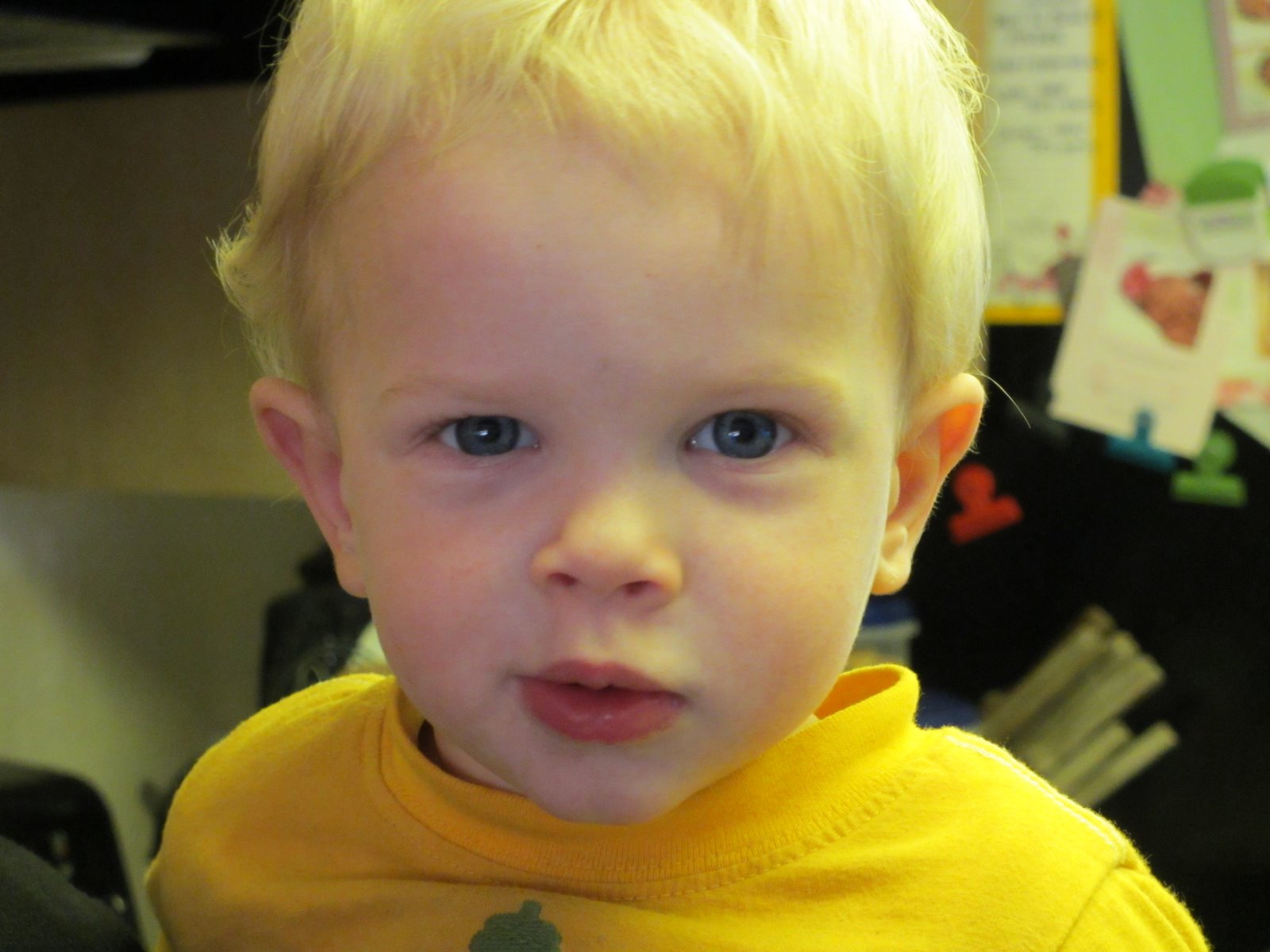 Secret Agent Society