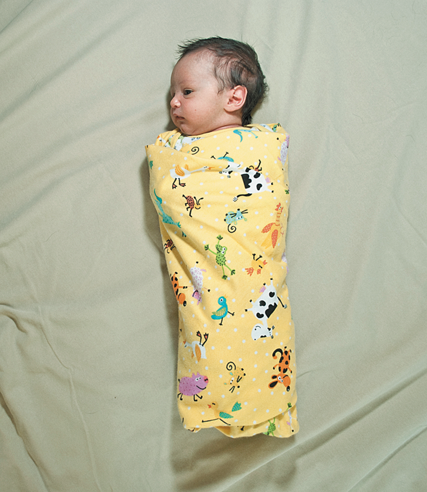 mygreatfinds Dr. Carey's Baby Care First Year Baby Care Guide Book