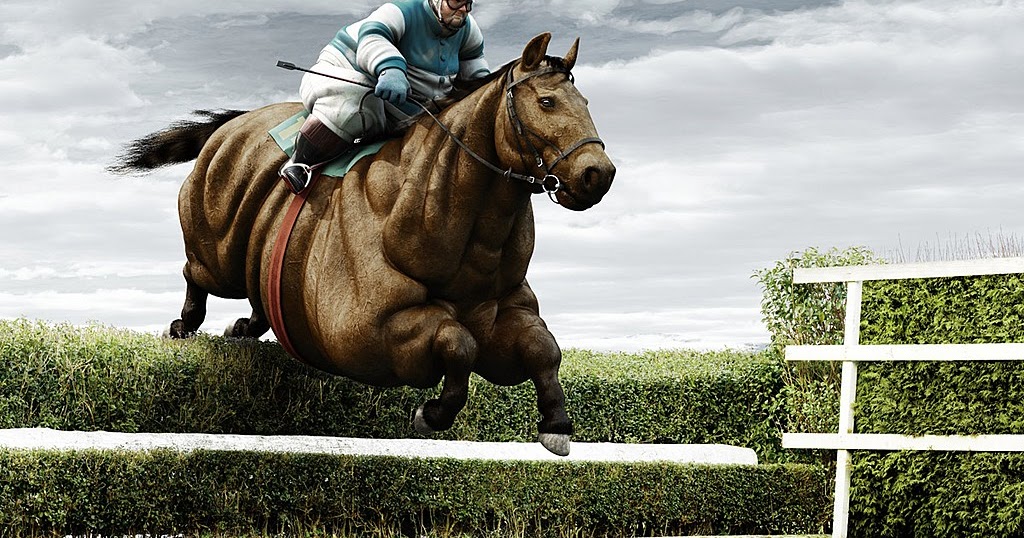 StomBlok: fat guy riding a horse