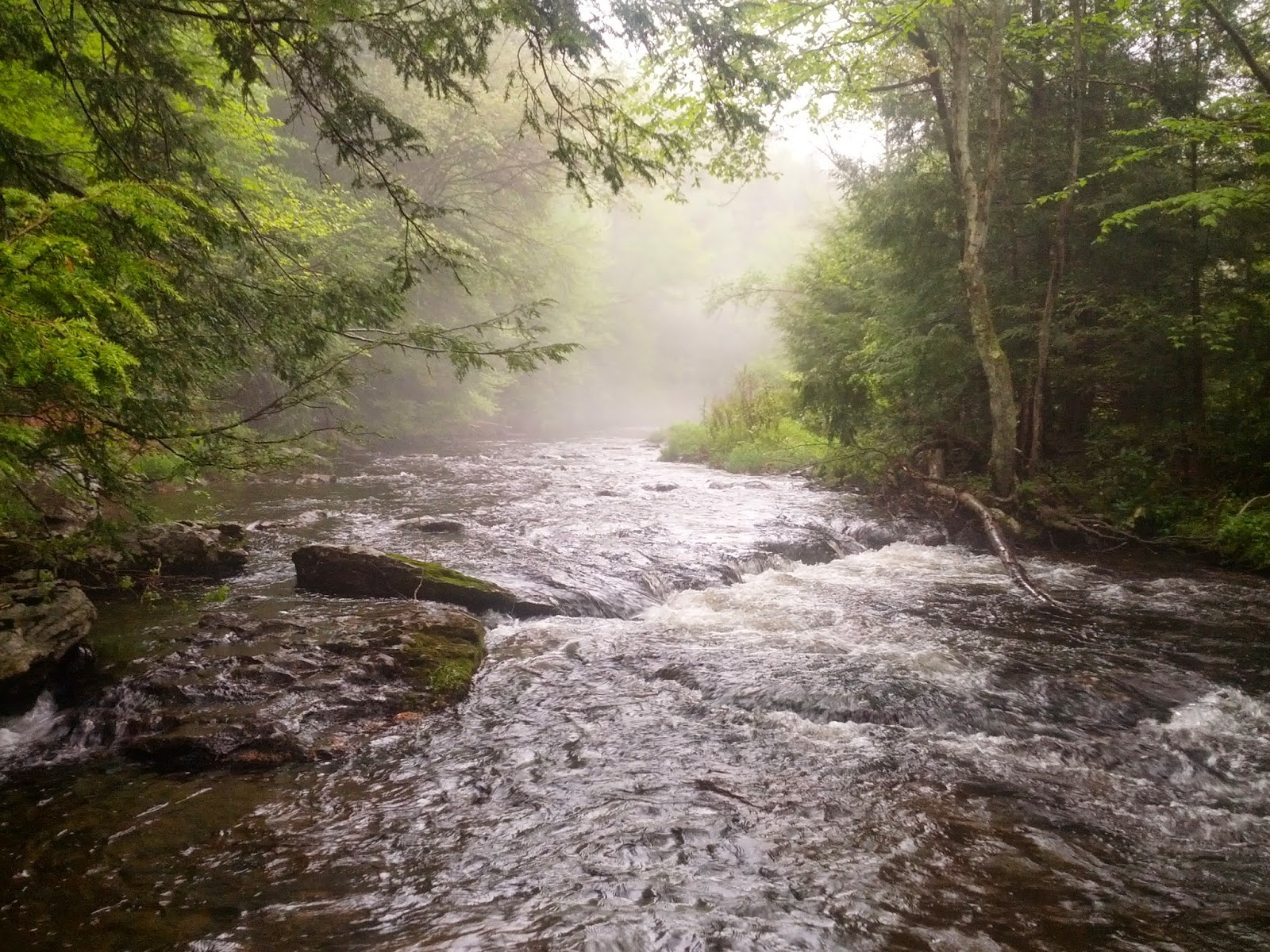 Pocono Trout Fishing Pennsylvania's Poconos and the roots of modern