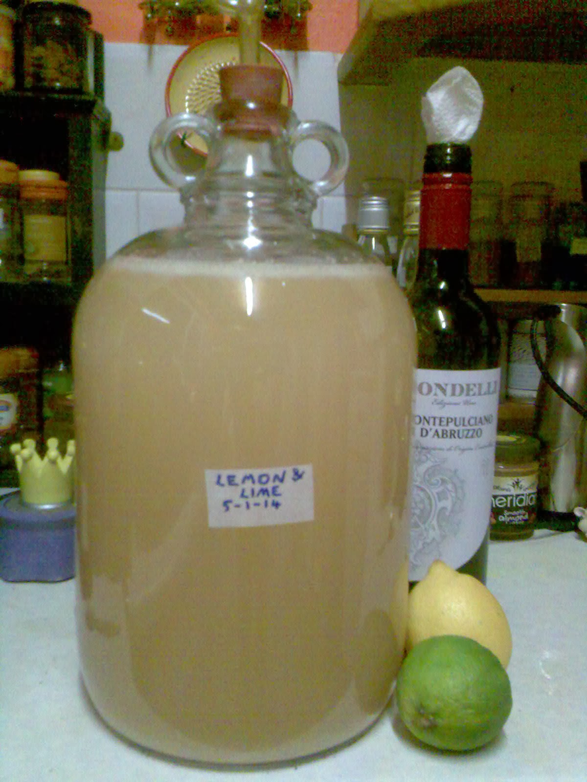 Ben's Adventures in Wine Making Lemon & Lime Wine The Making Of