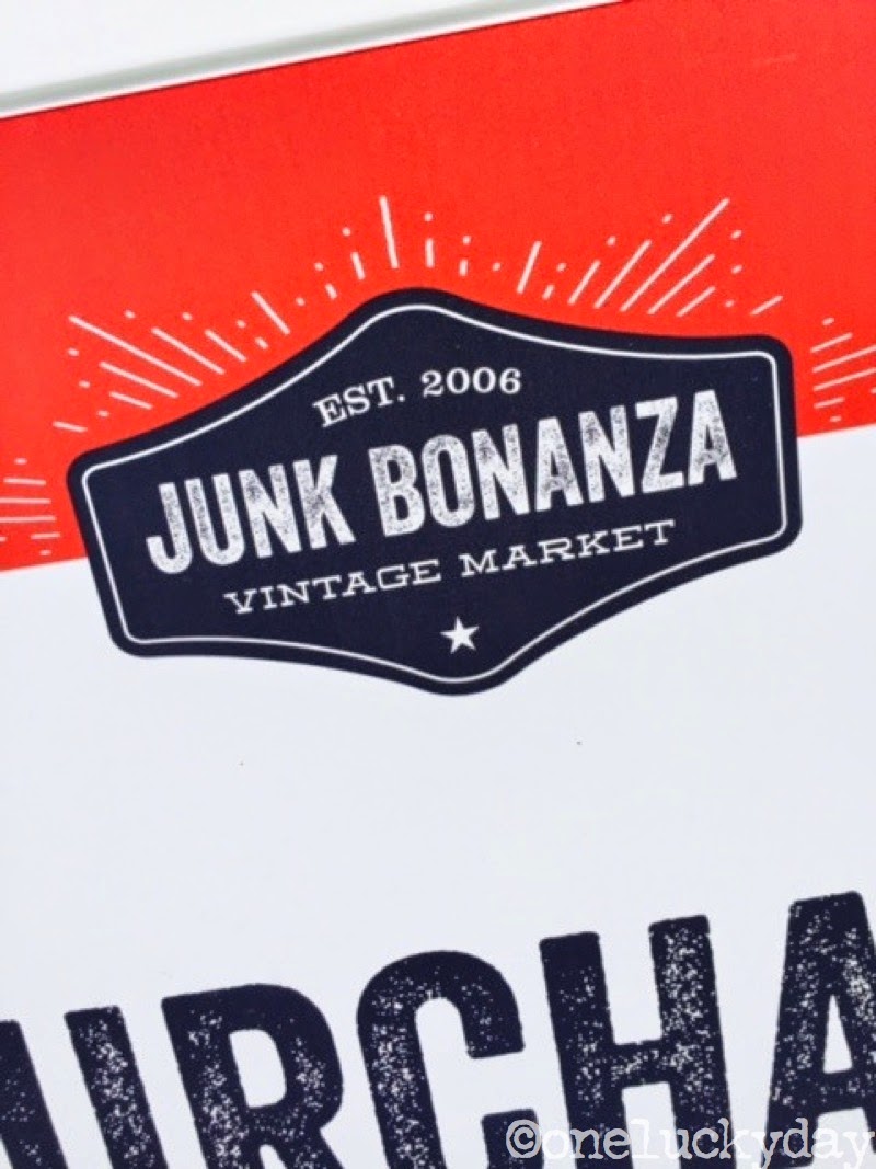One Lucky Day Junk Bonanza