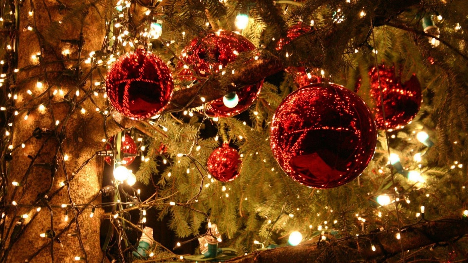 Itulah Koleksi Gambar Pohon Natal Lengkap Untuk Anda Baca Juga