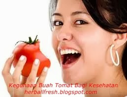 Kegunaan Buah Tomat Bagi Kesehatan 