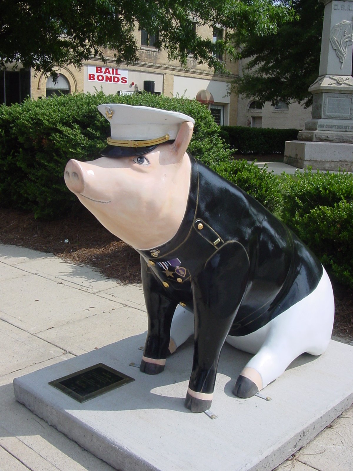 Mitchells on the trail Lexington North Carolina Pigs Part 3