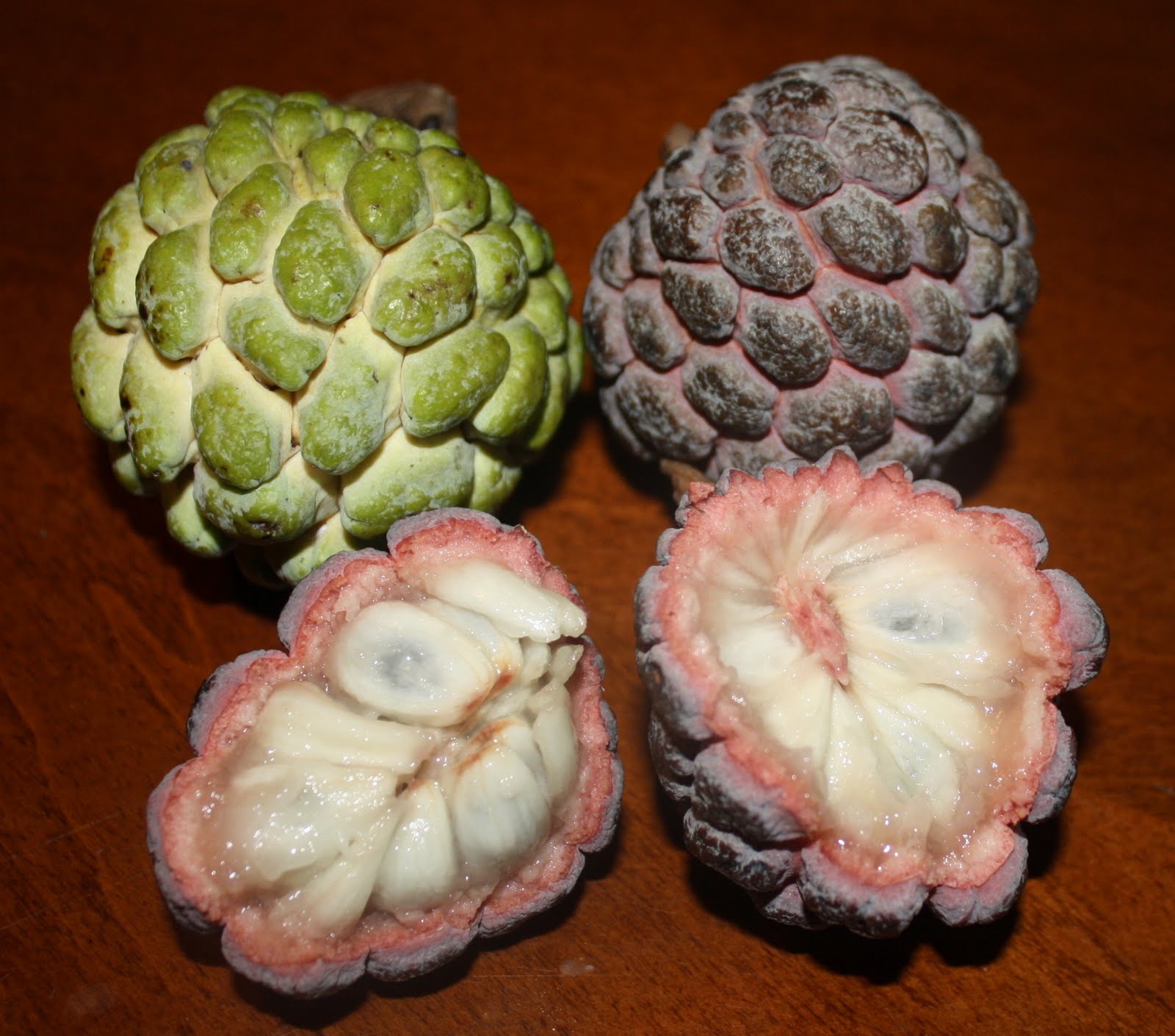 the great fruit hunt Sugarapple