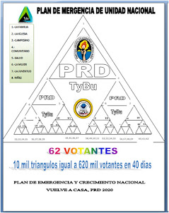 Plan de Crecimiento TYBU