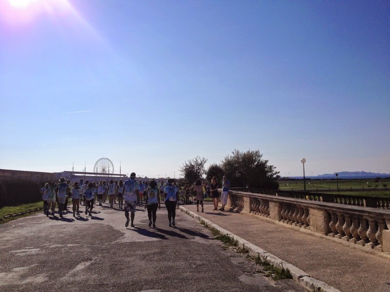 Color Run Borely