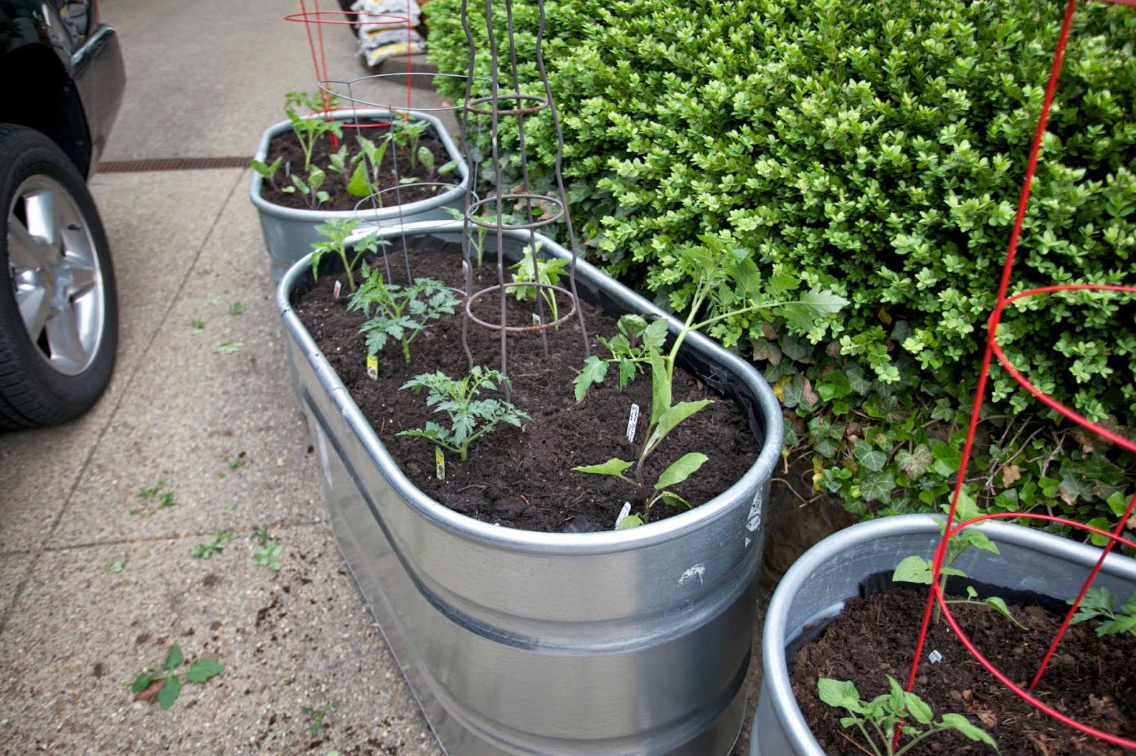 A Tutorial for Raised Bed Gardening in Galvanized Troughs