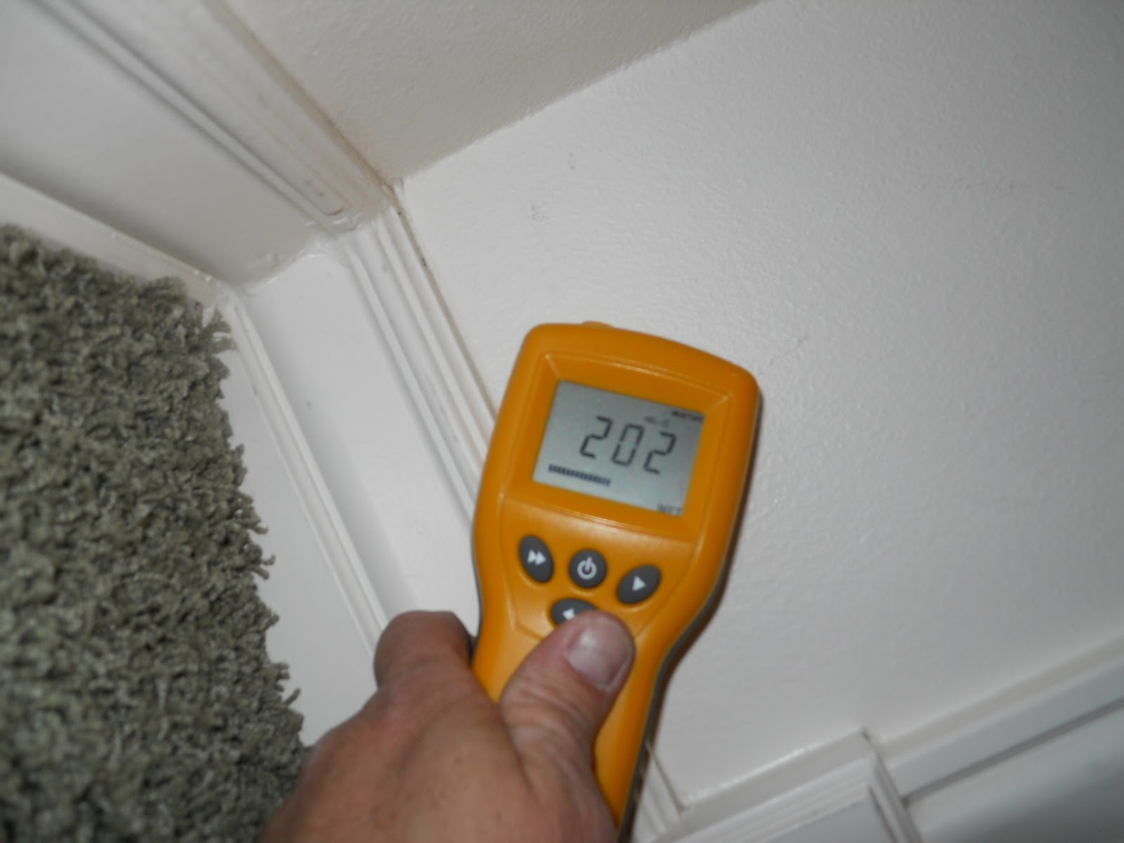 Alpine Professional Carpet Care WATER DAMAGE CLEANUP SERVICE IN UTAH