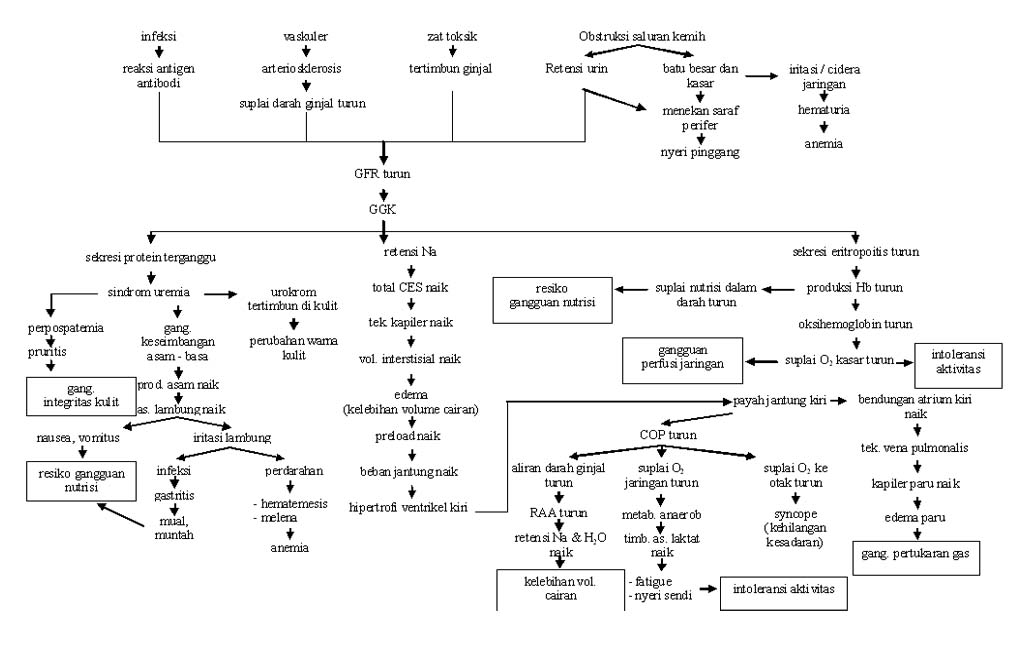 Askep Batu Saluran Kemih Pdf