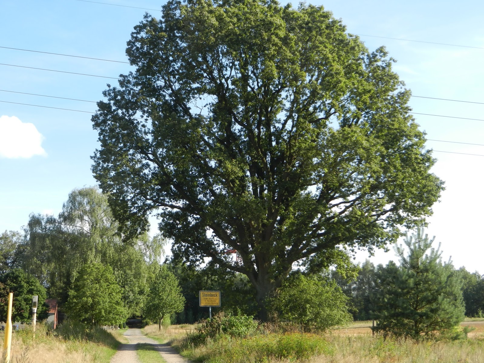 Der Wanderfreund Heidschnuckenweg 1 Etappe Fischbek Nach