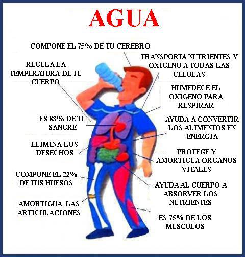 Esto nica como bajar la grasa del estomago hombres Realiza esta dieta Tipo como bajar la grasa del estomago hombres inevitable