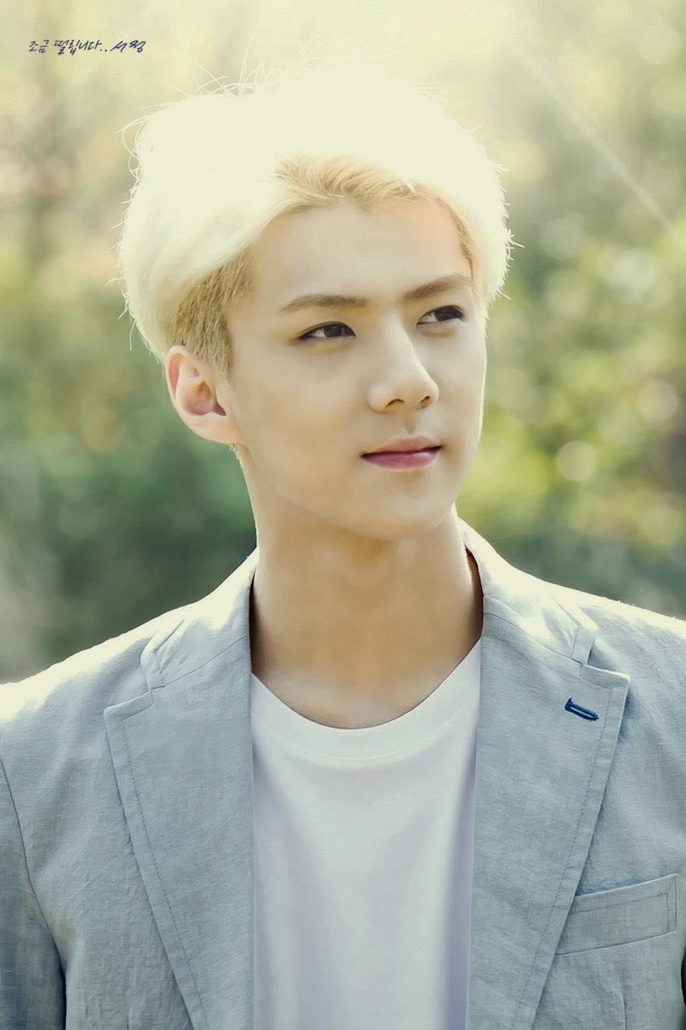 Forever a KPOPER ♥ EXO 엑소 Profile