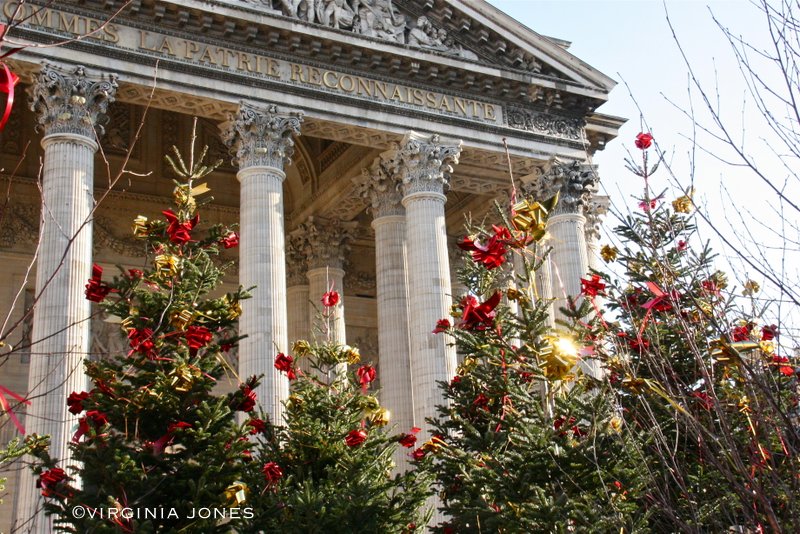 Paris Through My Lens Festooned