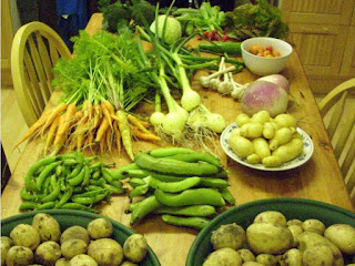 Vegetable grown at North Wald, Orkney