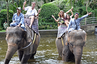 Elephant Safari Park Ubud Bali 2013 rebeccatrex