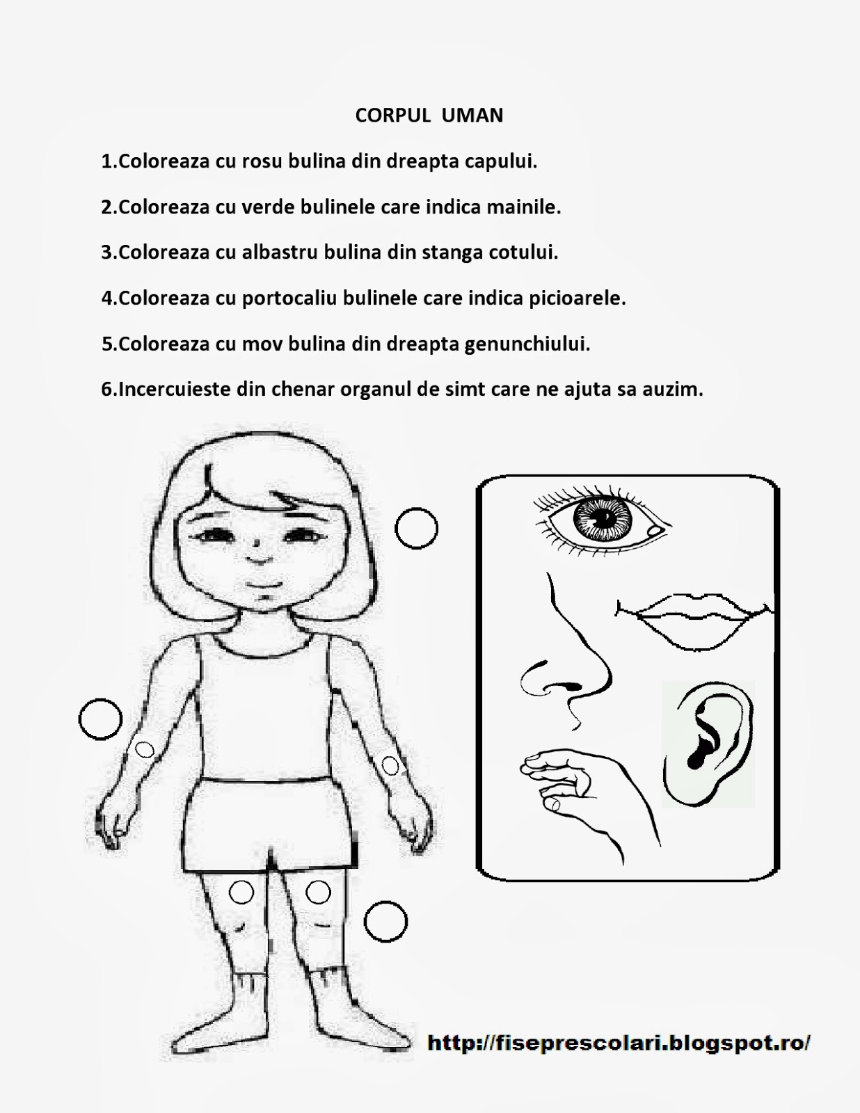 View Planse De Colorat Pentru Grupa Mica Pictures