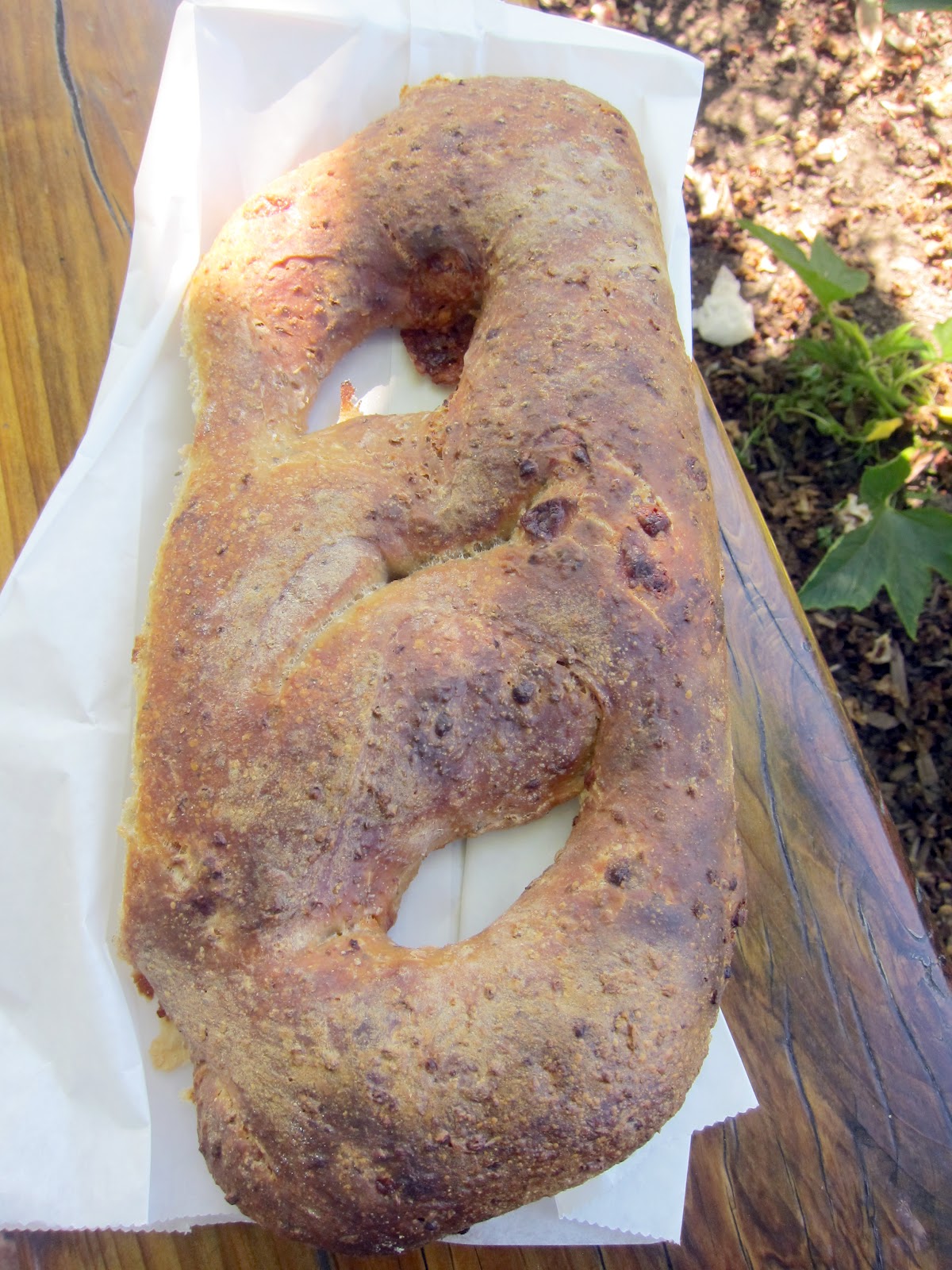 Bentobird wildflour bakery and salmon in cream sauce