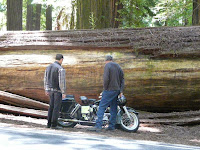 2 men look at a 1965 Harley Panhead in front of a redwood log