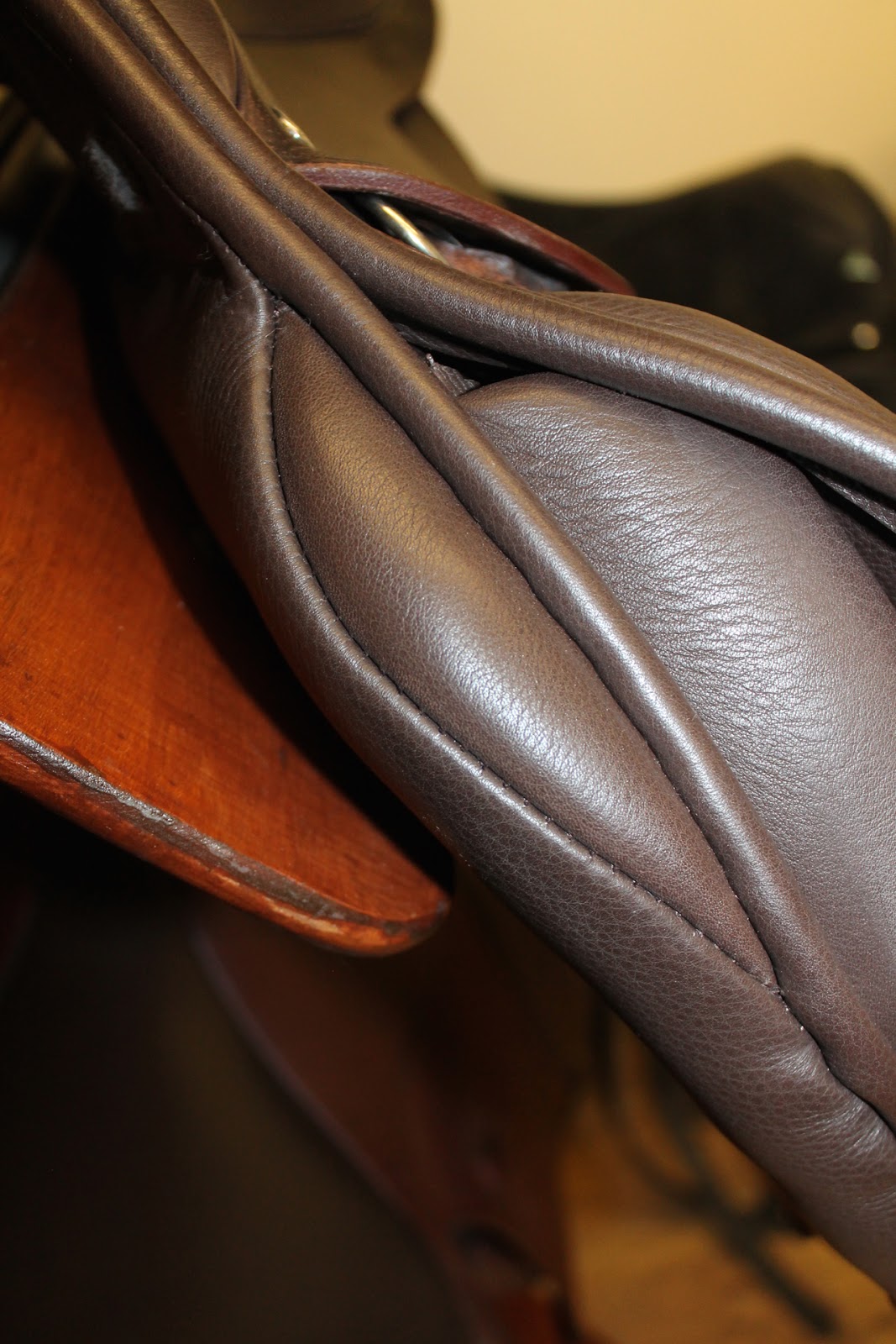 My Epic Marrz Saddle Fitting... the glories of owning a young horse