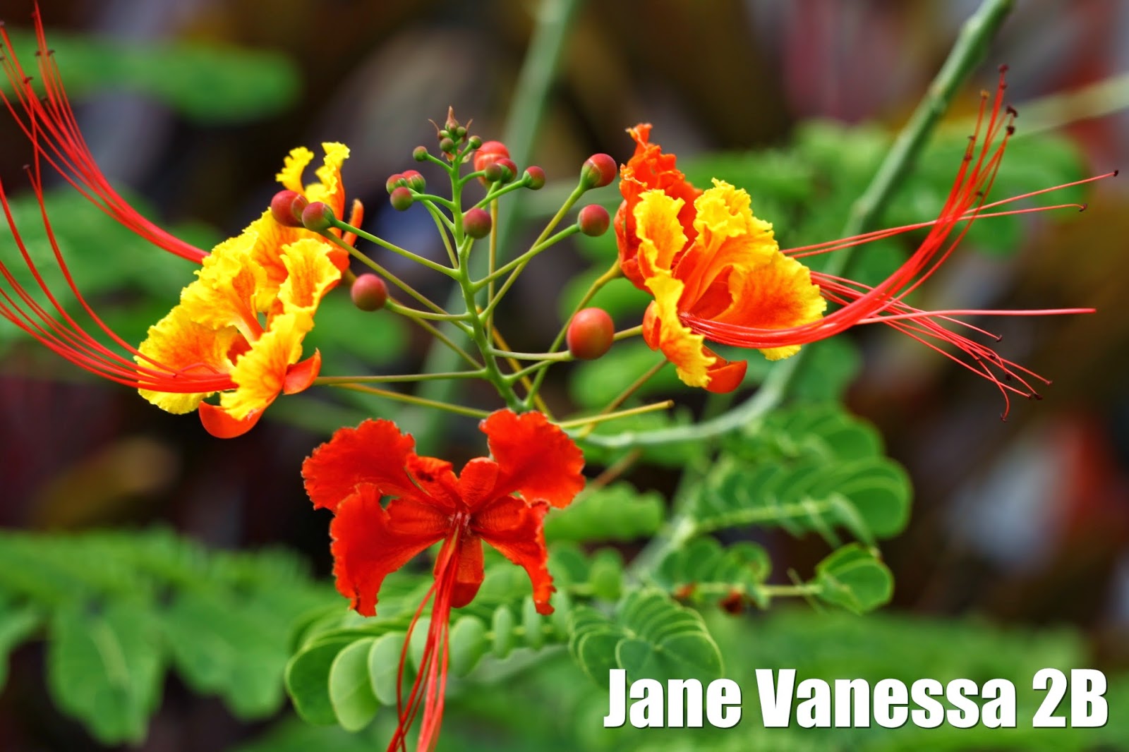 21 Aktiviti Menarik Bulan Sains dan Matematik