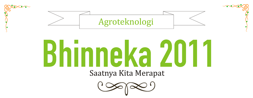 Bhinneka 2011 - Saatnya Kita Merapat