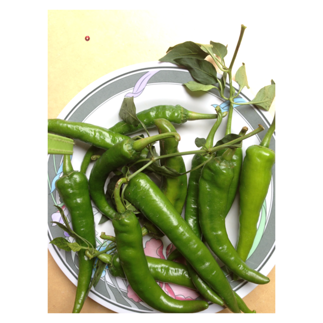 Resepi Cili Jeruk Tanpa Cuka Surasmi O