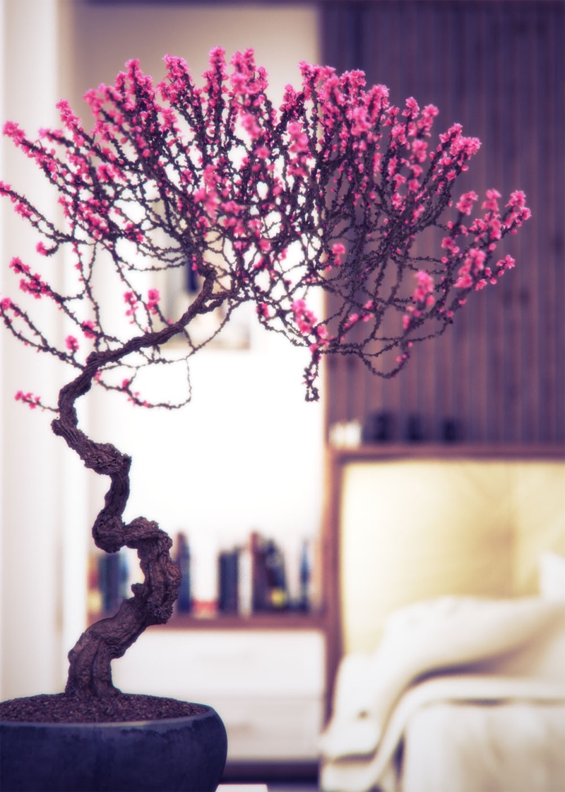 Using Bonsai Tree for Interior Design