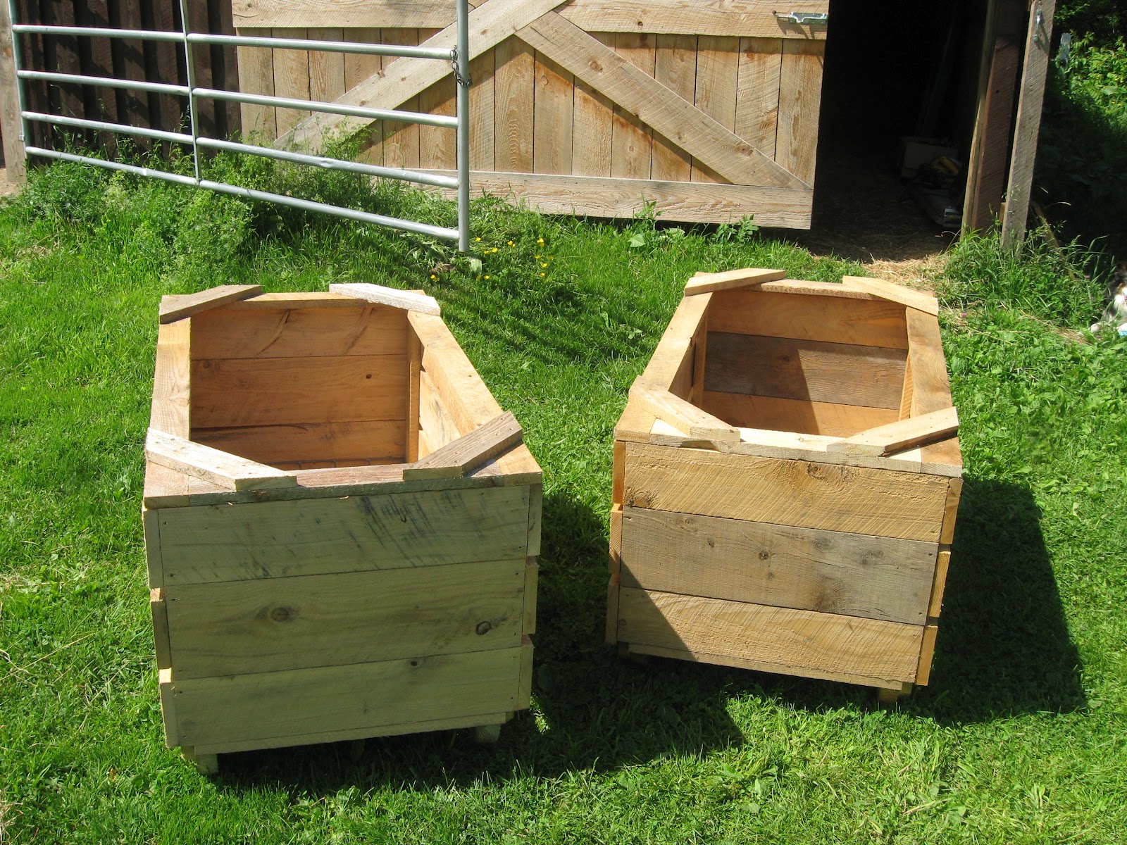 The Dancing Donkey Slow Feeders Perfected