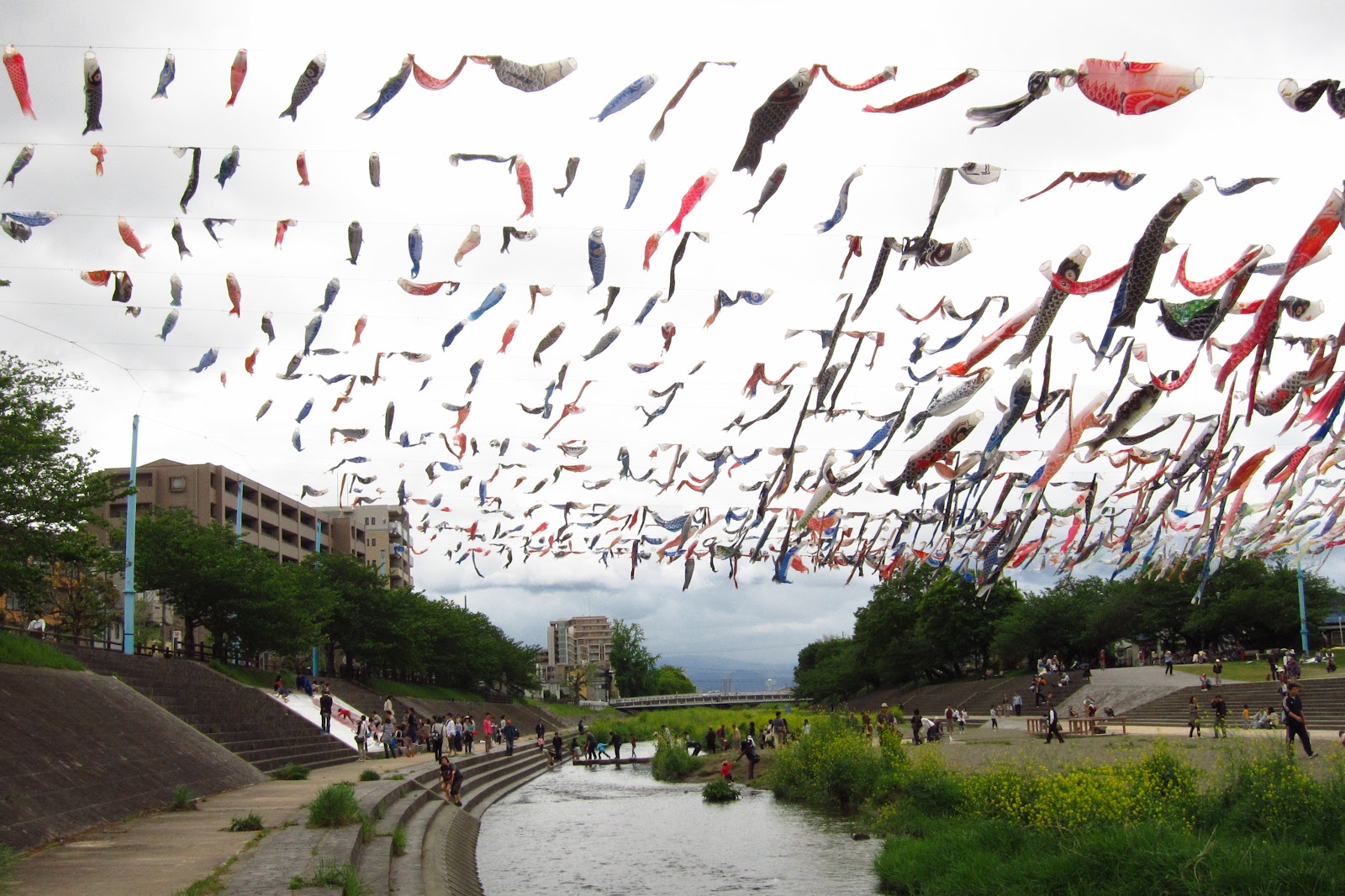 Round of the Seasons in Japan Carp Streamer