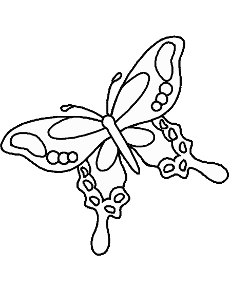 Cute Butterflies Coloring Pages – Colorings.net