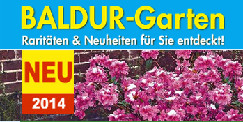 Baldur Garten Gutschein Neue Gratis Artikel Duft Freesien