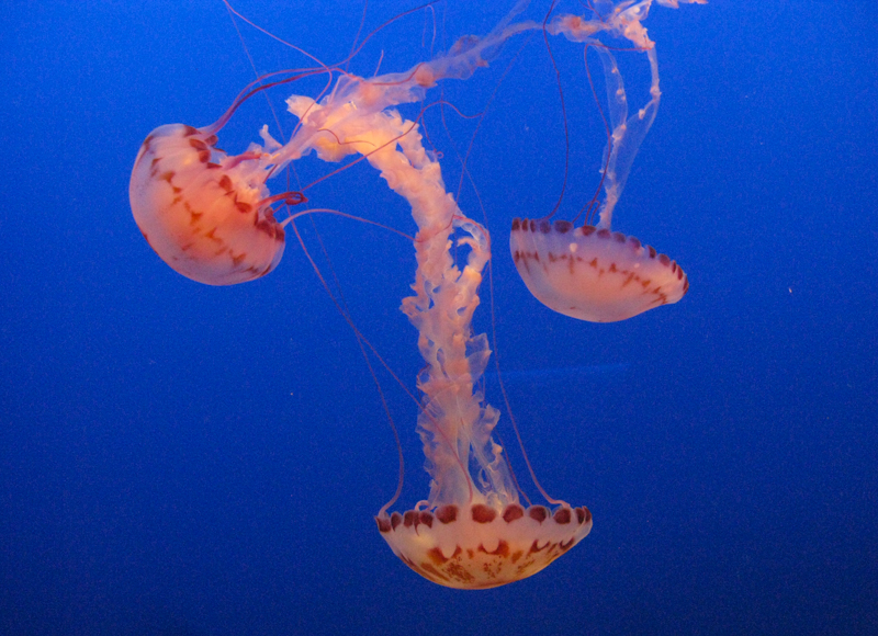 Erganzen High Resolution Stock Photography And Images Alamy