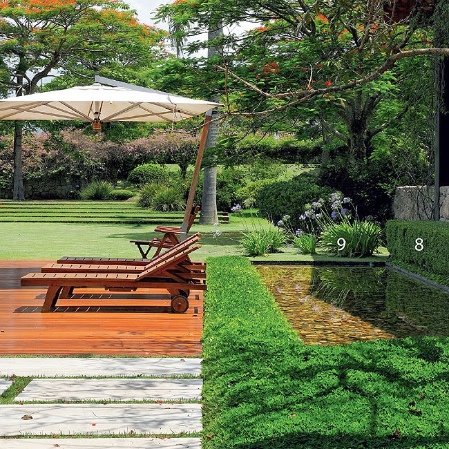 cerca viva para jardim fotosJardim de Stefania cerca viva para cerca viva para jardim fotosJardim de Stefania cerca viva para
