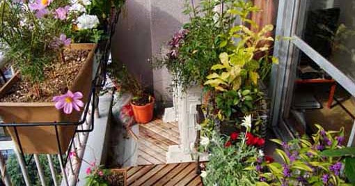 Balcony Decorating ideas with plants | Backyard Design Ideas