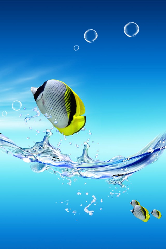 Very Nice Iphone Fish Wallpaper Wallpaper &amp; Pictures