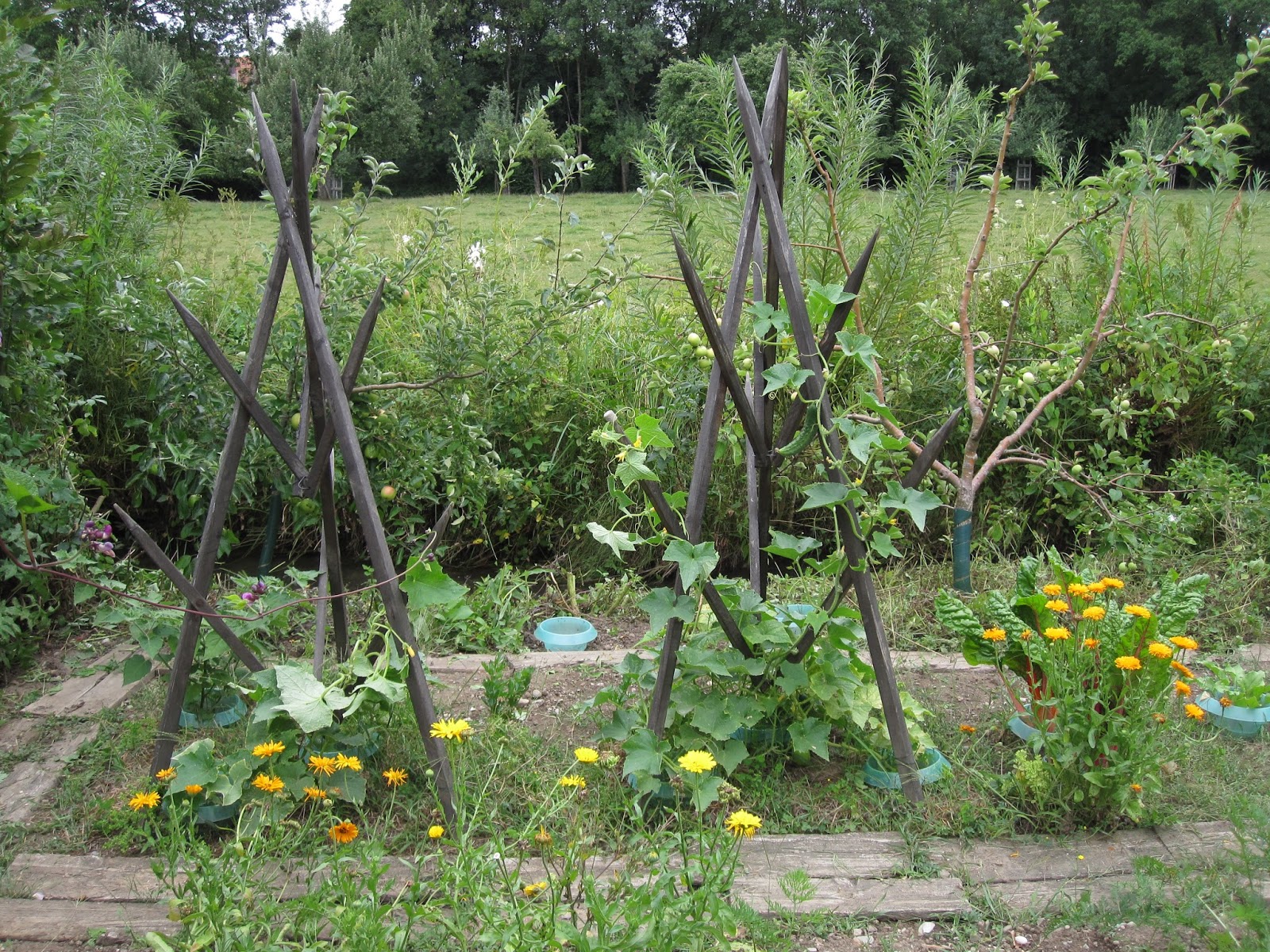 Oele Garten August 15
