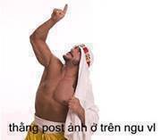 Bộ ảnh Troll Comment Facebook bá đạo nhất Bộ ảnh Troll Comment Facebook bá đạo nhất