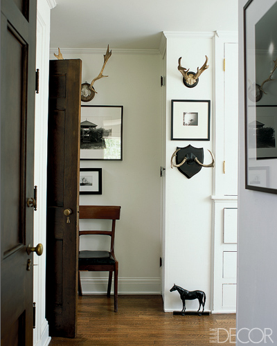 Deer Antler Home Decor