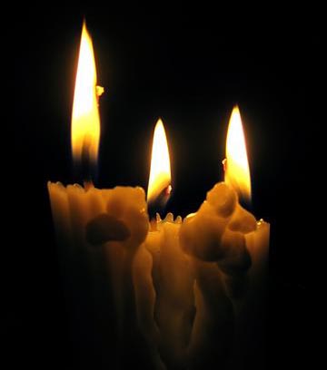 Masih Kata Pepatah Diam Itu Emas Kerikil Berlumut