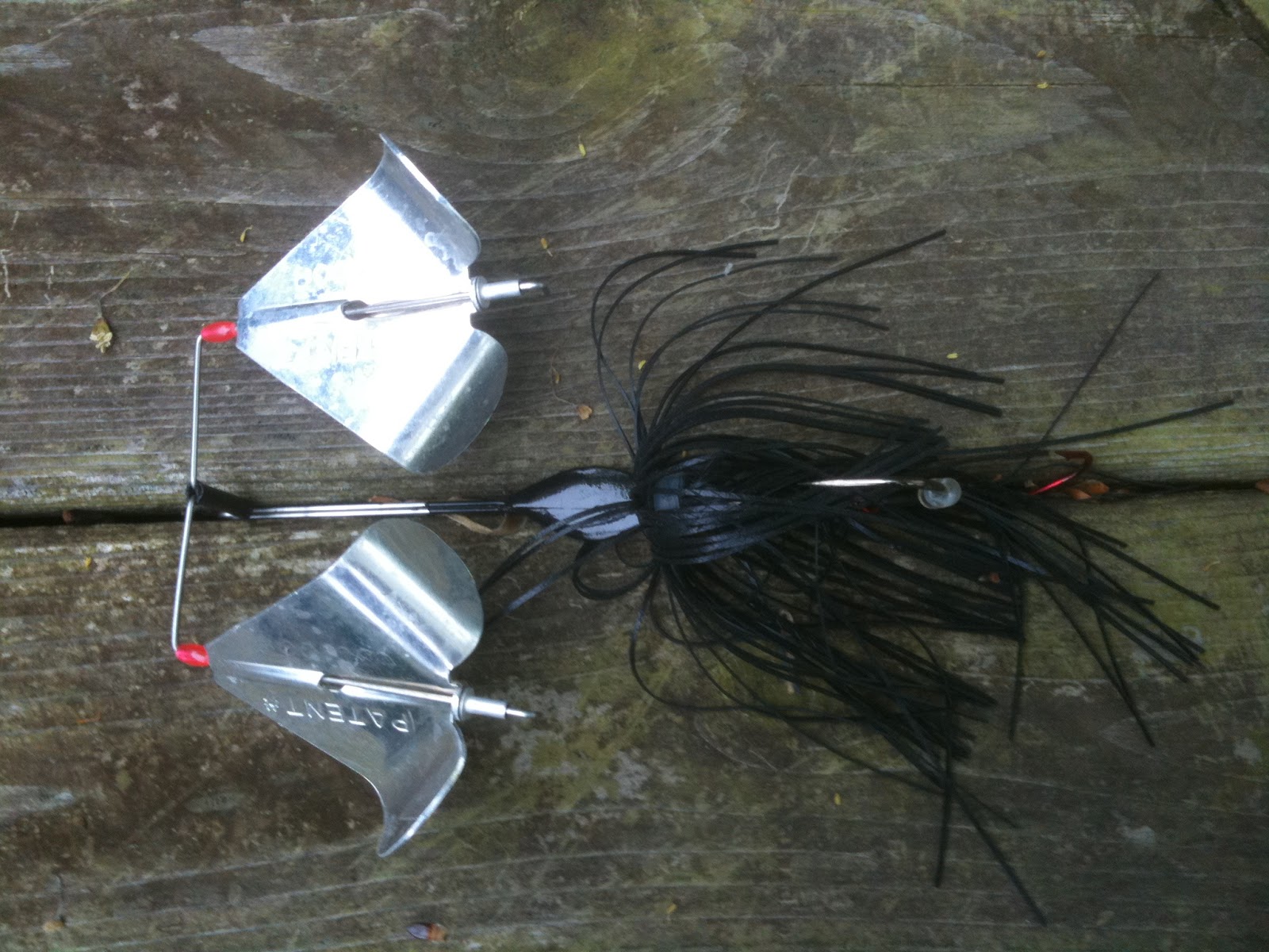 Bass Junkies Fishing Addiction There's a Buzz in the Air