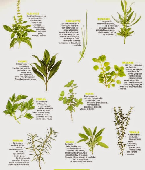 Las hierbas aromáticas o finas hierbas , son unas plantas que nacen Las hierbas aromáticas o finas hierbas , son unas plantas que nacen