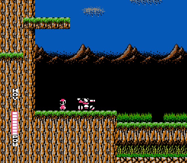 Zeta Flight Blaster Master (NES Game)