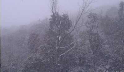 First snow of the season at Boone, NC