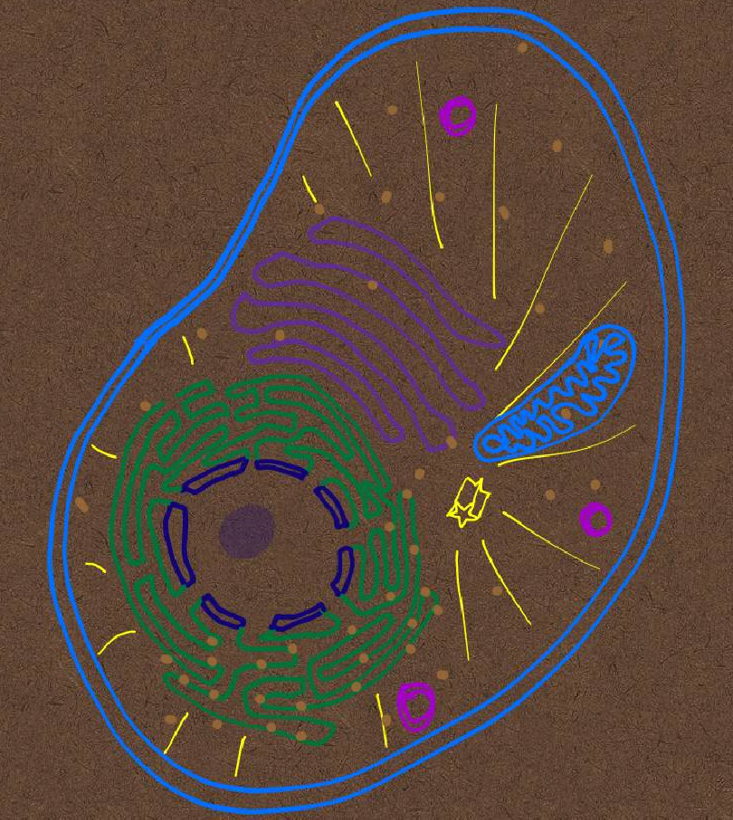 Honest Search for Truth January 2015