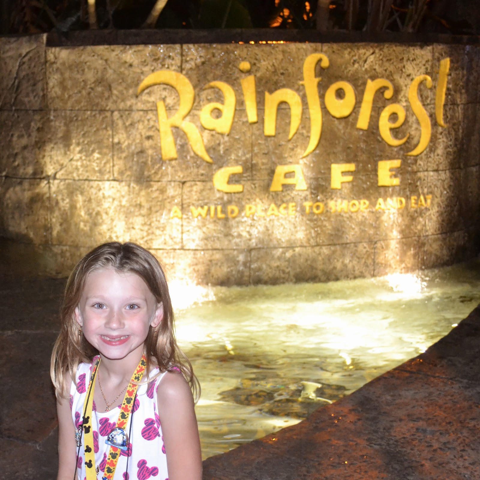 Rainforest Room Disney Dream Price Site Www Disboards Com Rainforest Room Disney Dream Price Site Www Disboards Com
