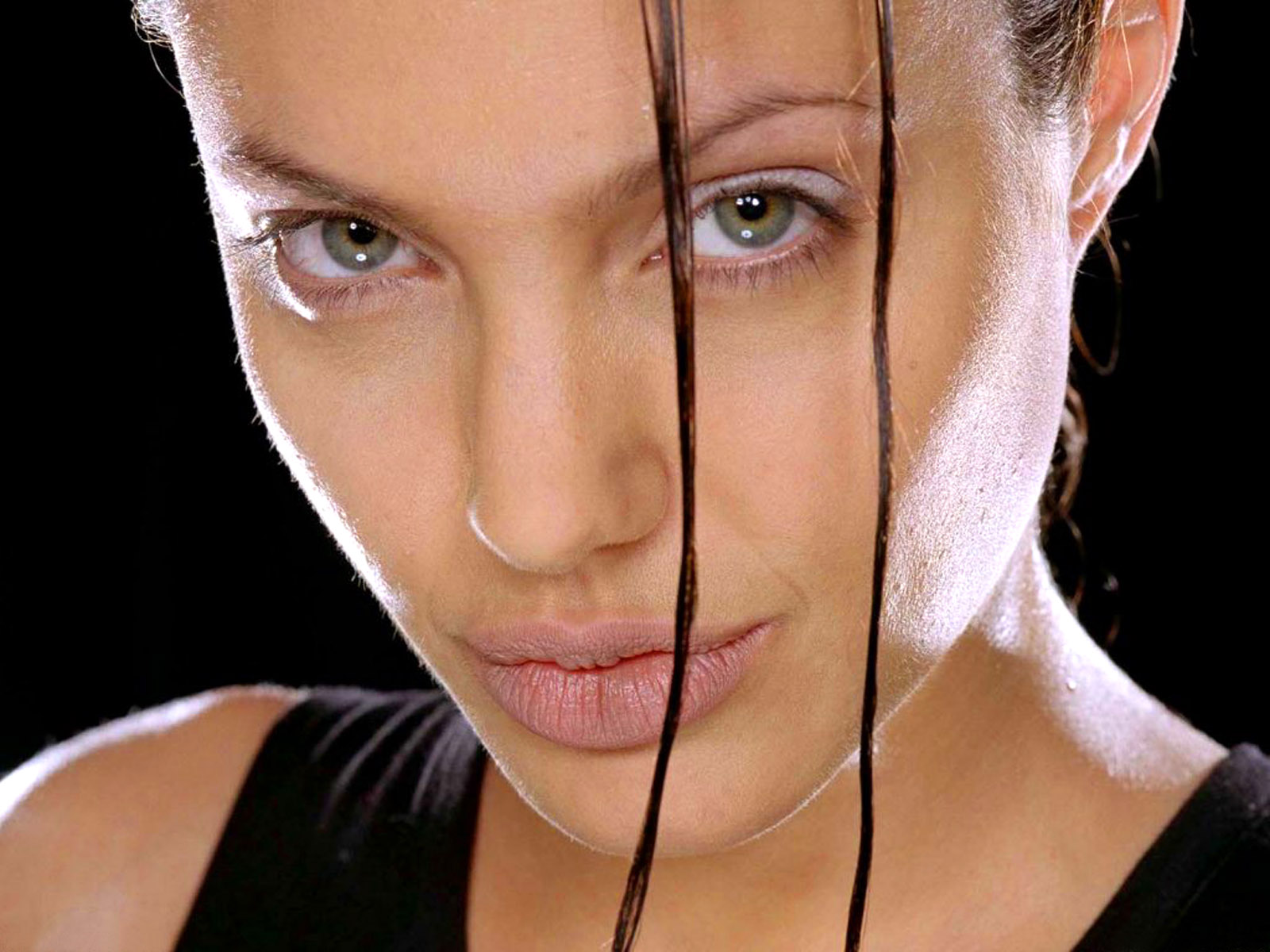 Celebrity Wallpapers HD: Angelina Jolie Wallpapers HD