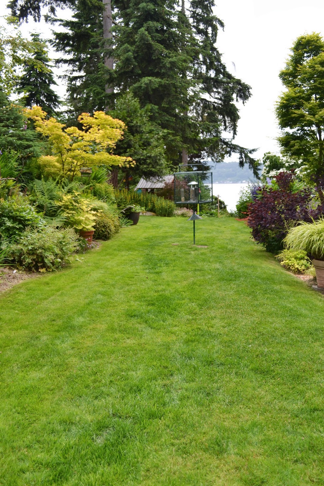 The Outlaw Gardener Vashon Island NPA Garden Tour part Five The