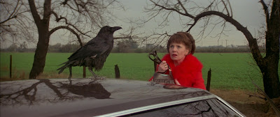 http://2.bp.blogspot.com/-iV3cGGfSpaQ/T0pWFC9UutI/AAAAAAAAXC4/BkYy5IoJs5A/s400/La+Maldicion+De+Damien+(Damien,+Omen+II)+(Don+Taylor,+EEUU,+1978)+-+photo013.jpg